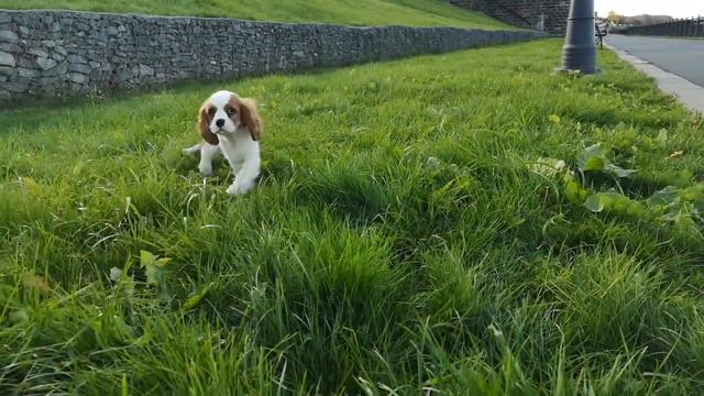 0c0e6f467105dd4d7a1e6a6c65d62aa6