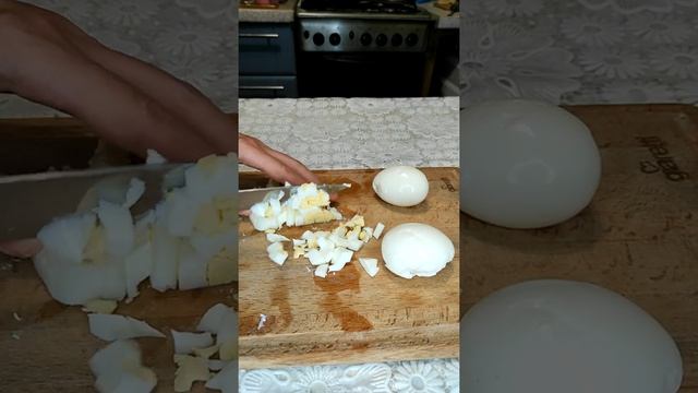 Цирковые Представления и Шоу