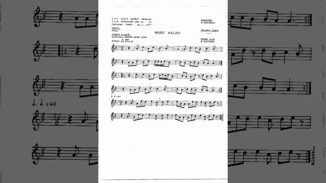 34 Maro Halayı 5x40 200