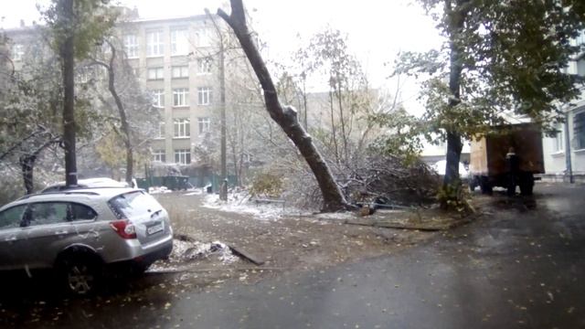 Снег в Курске