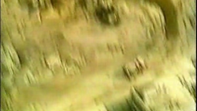 Хроника строительства Саркофага