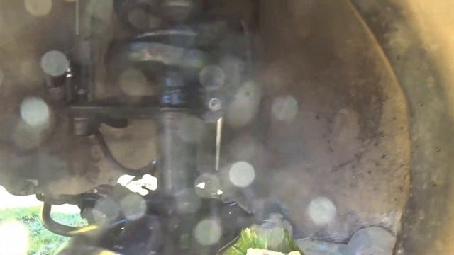 Декоративное Вдохновение