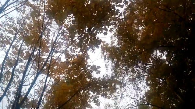 3a3fa42d4659bc16a9cdd131f1155e31