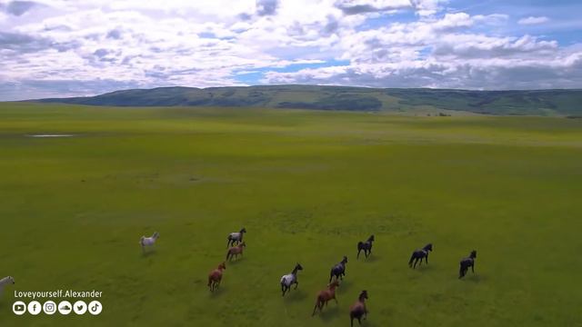 лечебная музыка для сердца и сосудов 🌿 успокаивает нервную систему и радует душу, Нежная музыка #30