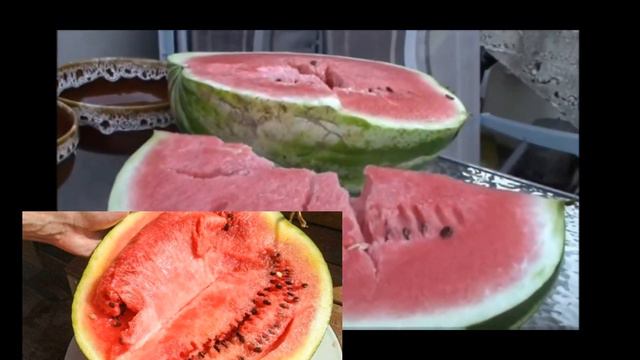 Определение нитратов в арбузе.  Природоведение 2- 3 класс.