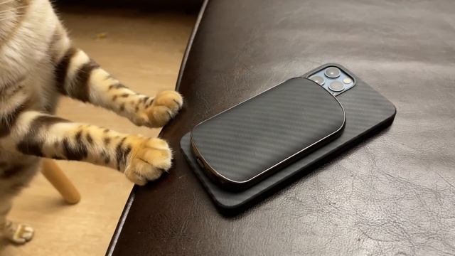 Лучшие аксессуары для iPhone 12  PITAKA