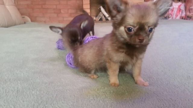 Dd60819f9794aa1bd92420b222969c3c