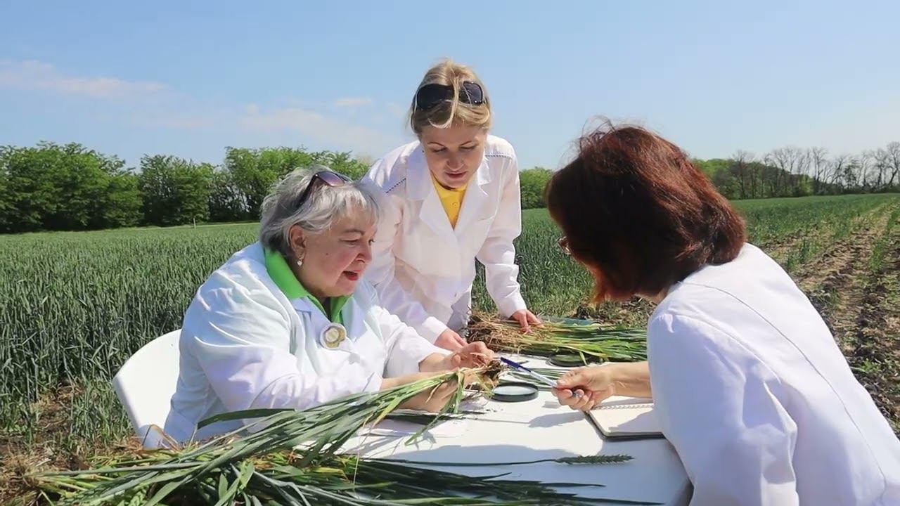 Caadd74dc349ab357832f9314a5fe342