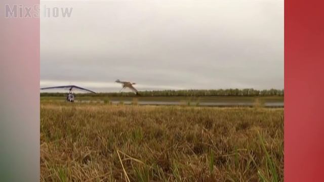 24dffcd988716a0114c78e1a4a743c29