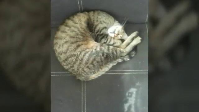 B444dd824663c1d40847da3c16779e16