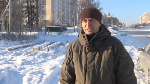 Вырубка леса на территории города (17.11.2016)