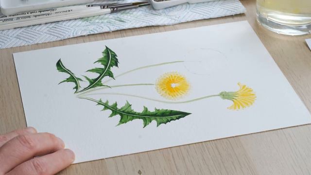 How To Paint A Watercolour Dandelion