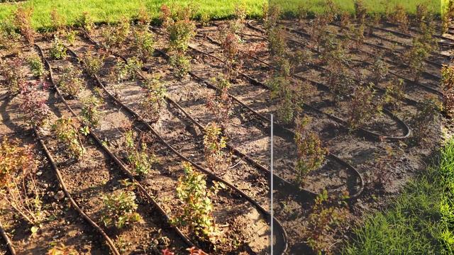 Система автоматического полива “ Rain Birb