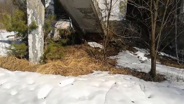 Продолжение... Брошенные лагеря. Лесные дали 2.