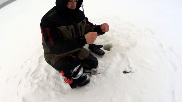 ОКУНЬ на ЛАДОЖСКОМ ОЗЕРЕ! Готовлюсь к НАЛИМУ!