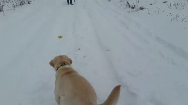 6 декабря 2017 г.