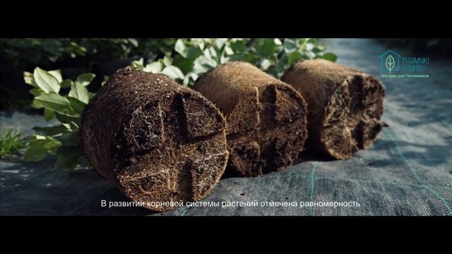 00eee9c08a42c532d843727514056e81