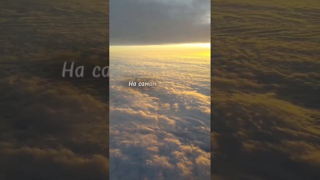 video5411441781147448292