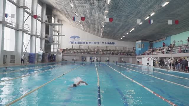 Чемпионат области по плаванию