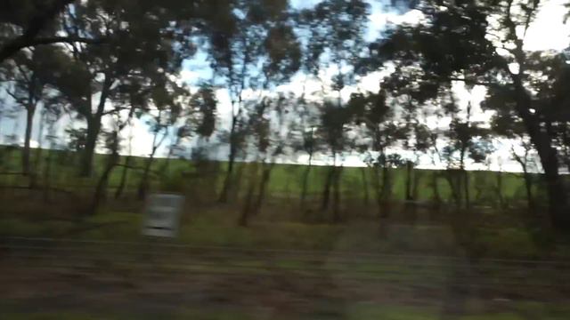 Getting Our Dalmatian Puppy 🐶🐾🎀