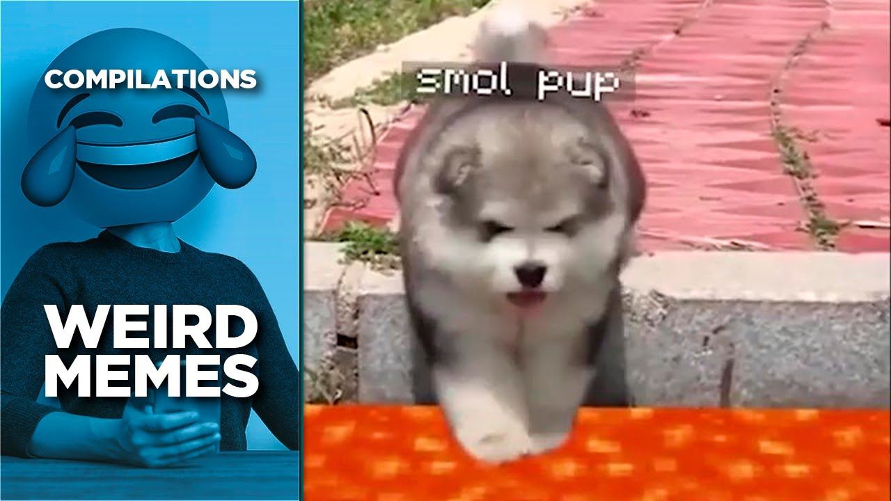 Weird MEMES Compilation