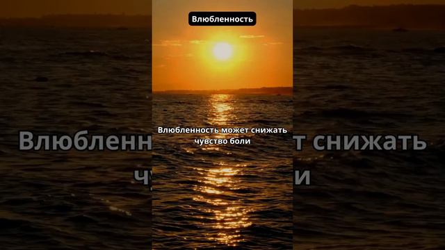 Влюбленность