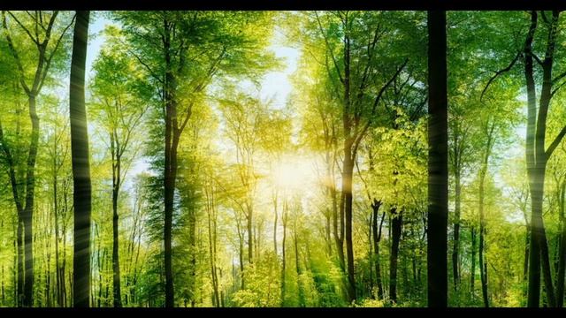 расслабляющая музыка