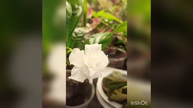 74eba6b8e6aeba00d5753305d301a11a