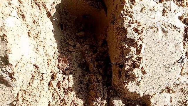 Игрушки, гонки, тачки, детские игрушки, машинки, видео для малышей