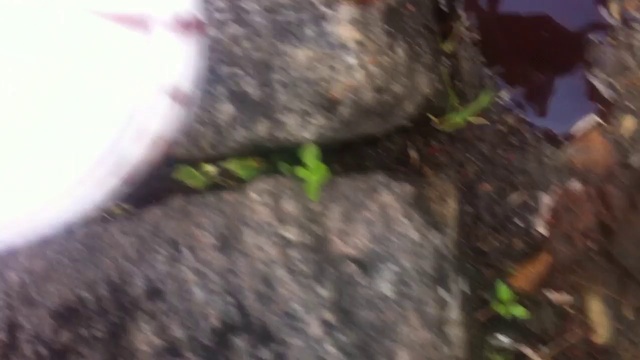 6fe0c3b31bdc58fee5e49bb086b6ef11