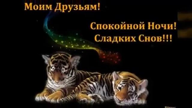 97de66679f2211f4f709feec8ef48bc5