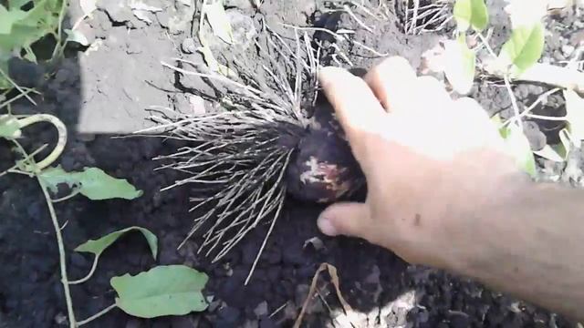 32a595d78cc226e4f4f9de91a1b455af