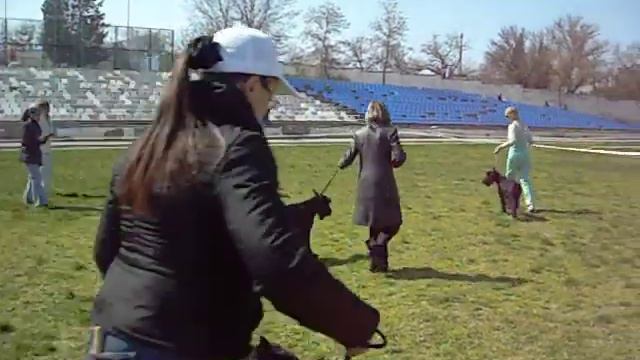 п-к  Роман-Кош..Роман-Кош Венеция, Баттерфляй и Каратау Арабинер,дочь Маски -Магги и Глорис Аризона