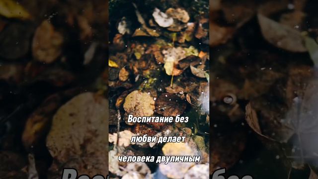 Благословенного дня! Христианское пожелание!