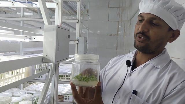 Tissue Culture लैब में कैसे तैयार किये जाते है पौधे | Farmer Corner |