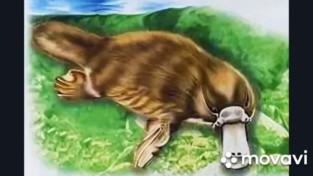 Стишки про зверей