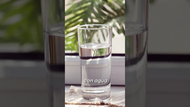 3b78ee4f83db133878be877a2d0625b5