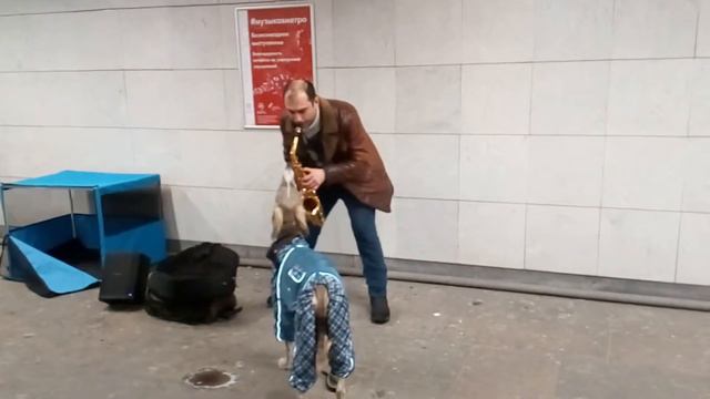 I Feel Good (в переходе)