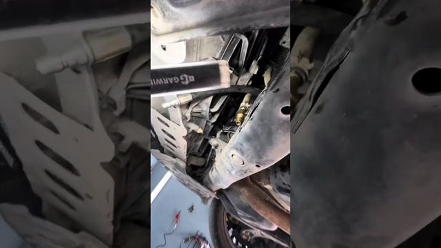 Новые тренды