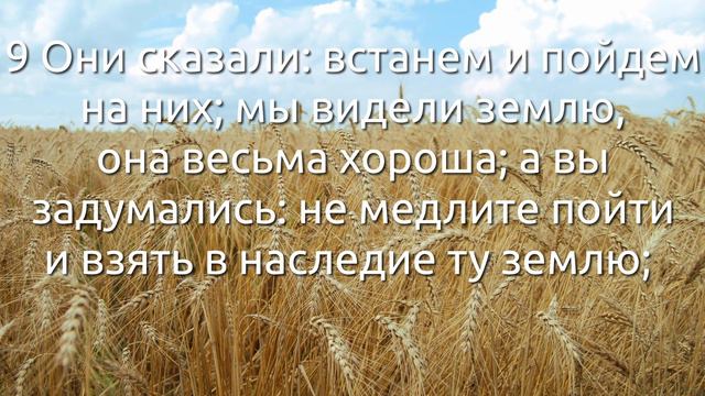 СЛОВО БОЖИЕ. Тихое время с ЖЖ. [Судьи 18:1–13] Легкий путь вместо Божьего пути (12.09.2021)
