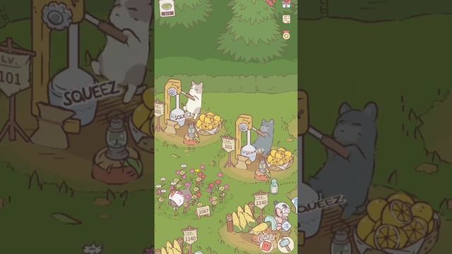 игра кошки и суп! #catsandsoup