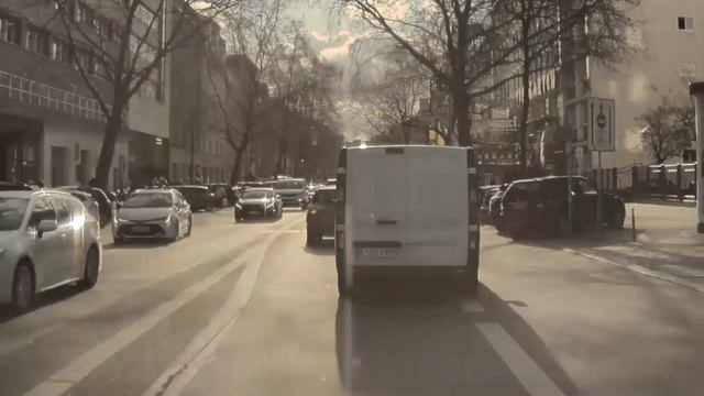 Tesla Sentry Mode & Dashcam Moments 3