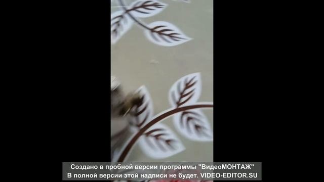 Ремонтная Интуиция