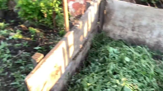 #39 КУПИЛА ЗАБРОШЕННУЮ ДАЧУ/ВИТАЛЯ ВЕРНУЛСЯ С РАБОТЫ/ПРОПОЛОЛИ ОГОРОД/ВИТАЛИК ОКУЧИВАЕТ КАРТОШКУ