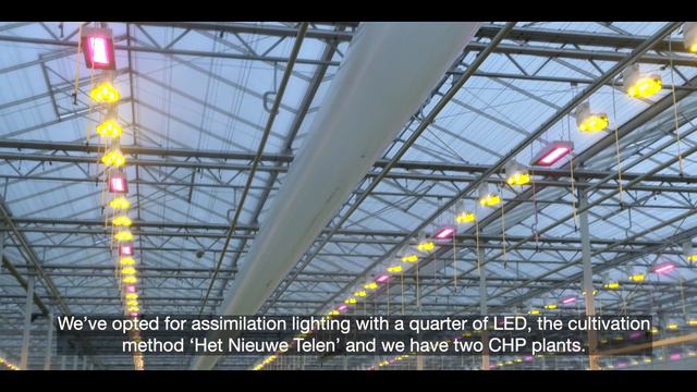 Customer Interview -  Lugt Lisianthus