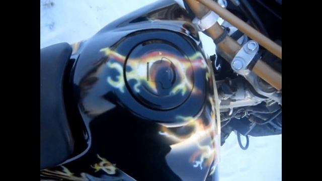 HONDA  DOMINATOR
