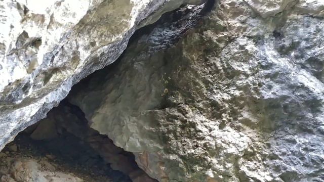 Enchanting Guitar Sounds And Birds Singing (чарующие звуки гитары и пение птиц)