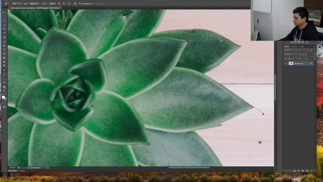 How To Use The Pen Tool - Cut Out Objects Or Remove Background In Photoshop - Tutorial