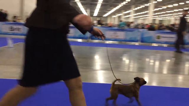 Россия Кубок Президента 19.11.17