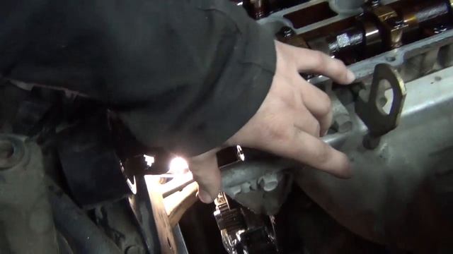 Тепло: Образ Жизни